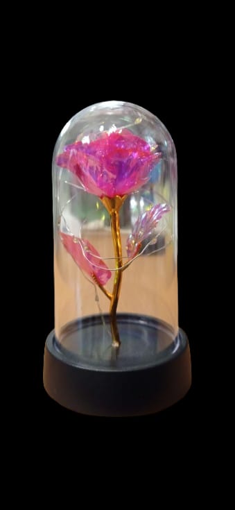ampolla con rosa luminosa